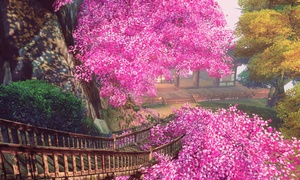 美景如斯：缥缈峰的粉树和楼梯。　作者：图米未