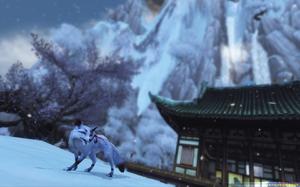 風林火山，雪狐と女。　作者：乀杭灬丹青丶